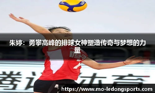 LDSports官网登录