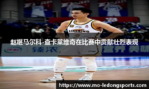 赵继马尔科-查卡莱维奇在比赛中贡献壮烈表现