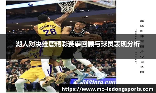 ldsports中文官网
