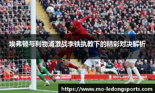 乐动体育LDSPORTS官方网