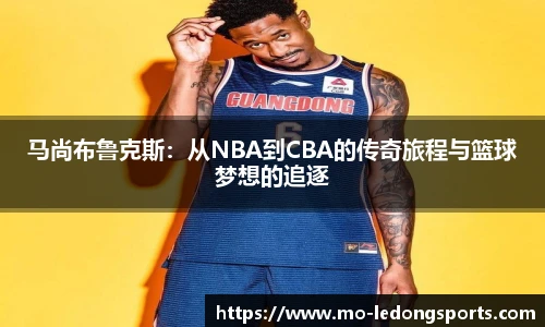 乐动体育LDSPORTS官方网