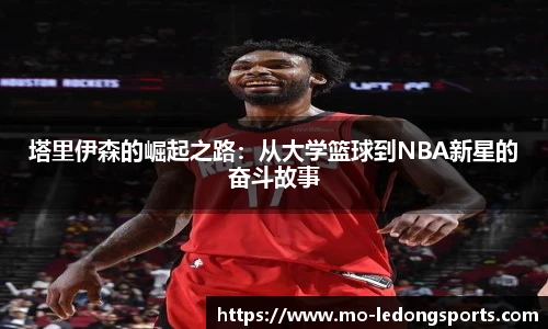 乐动体育LDSPORTS官方网