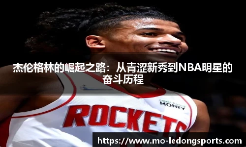 ldsports中文官网